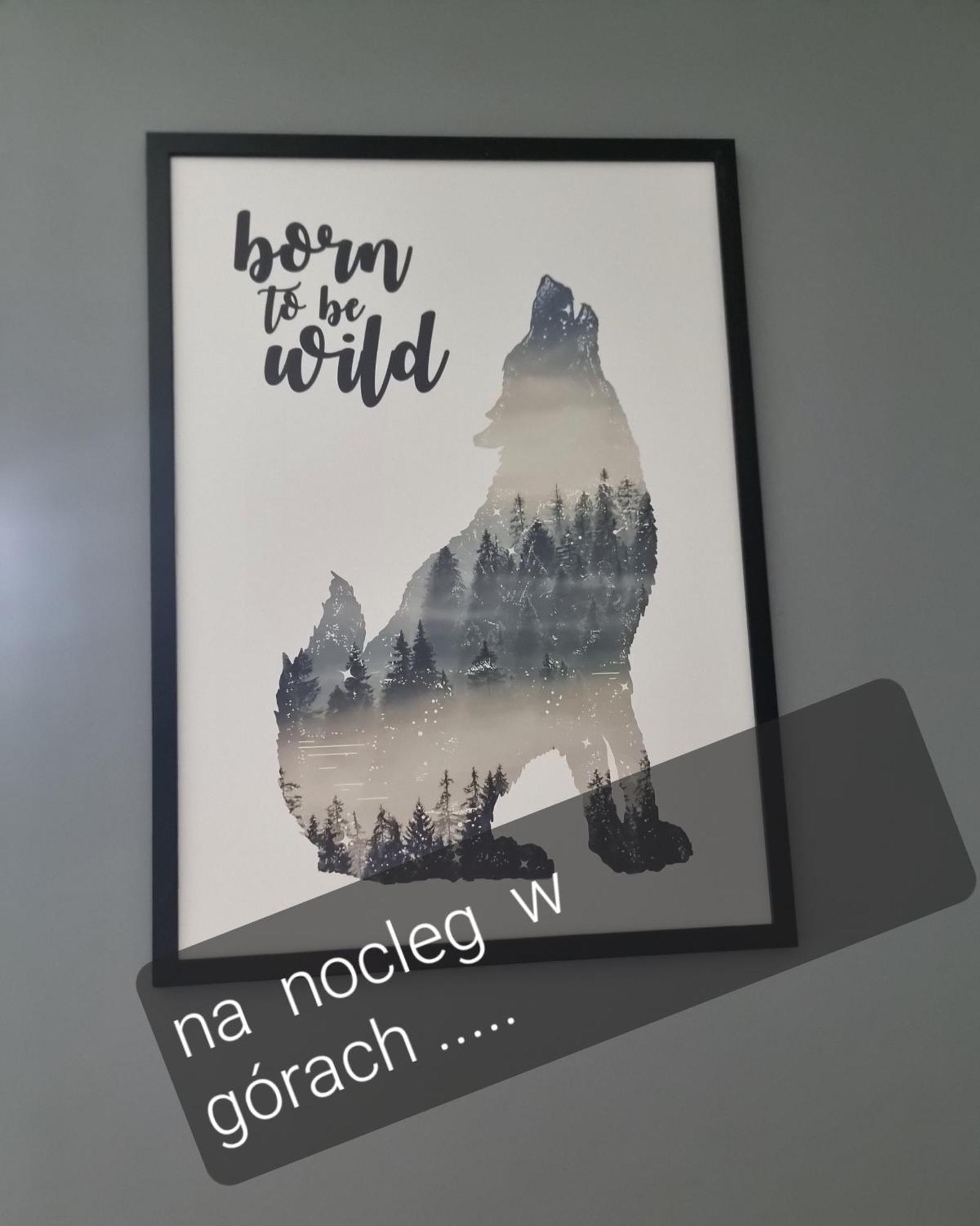 Pensjonat Kryształowy Dworek